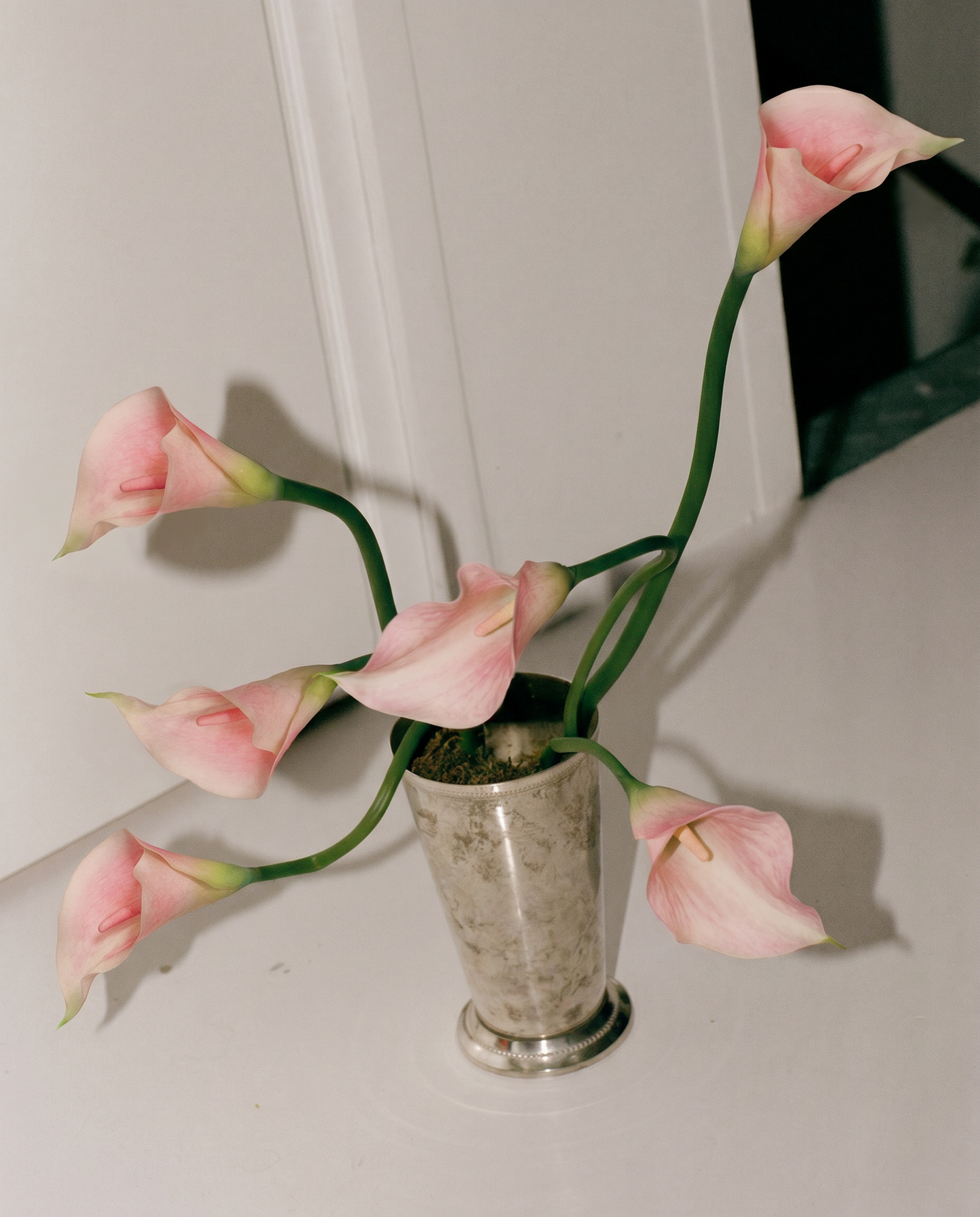 Studio Corner