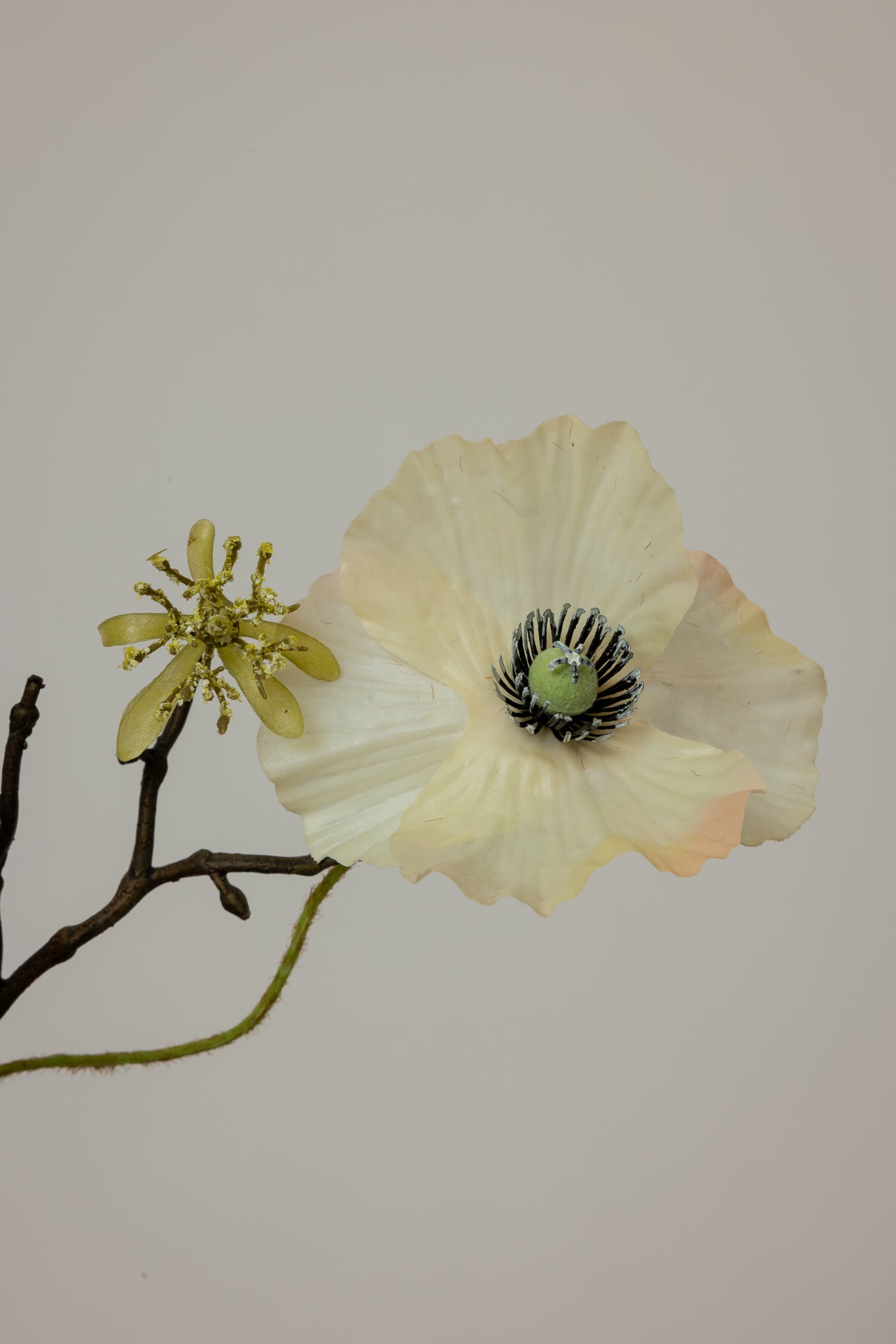 (Pre-order) Skylight