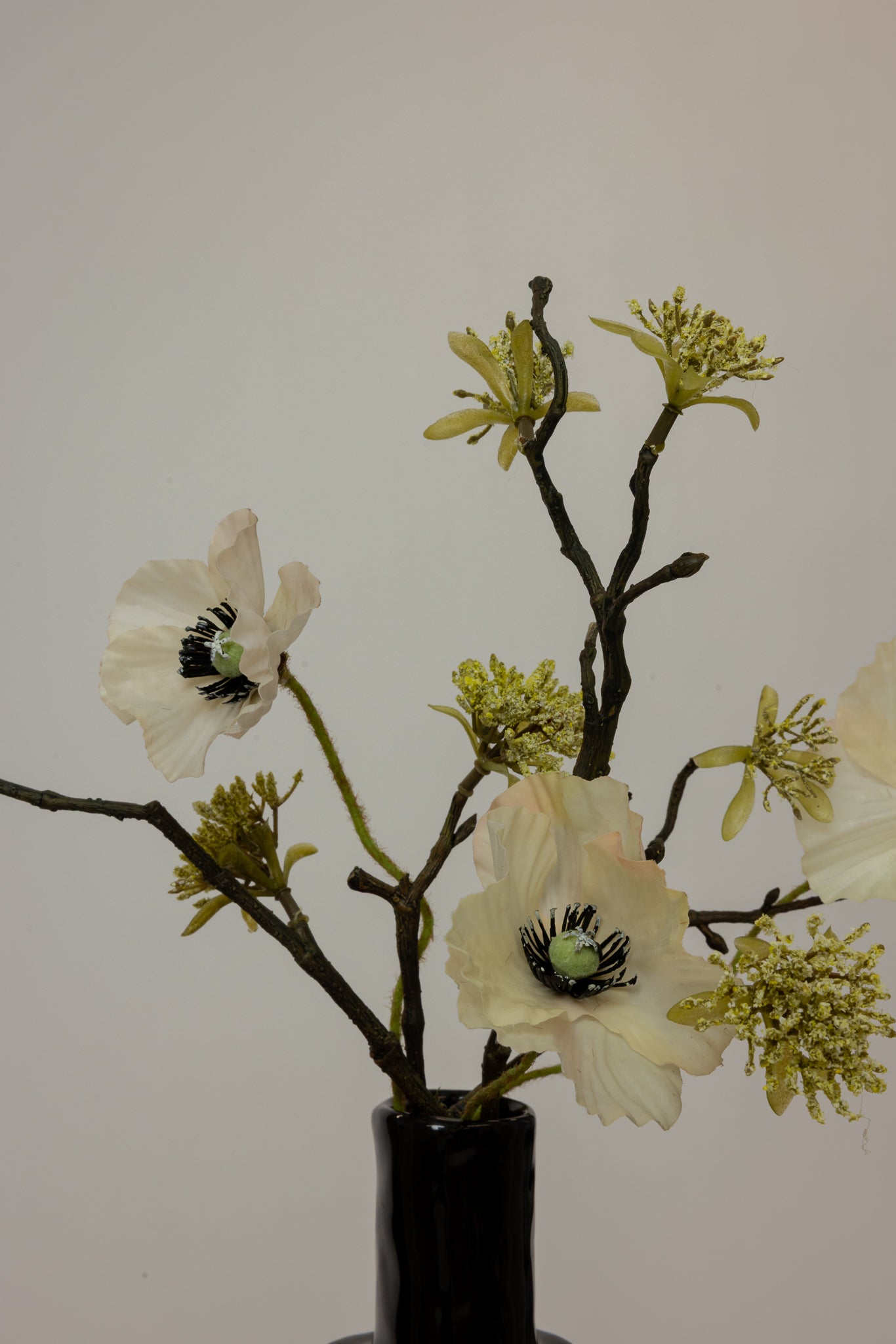 (Pre-order) Skylight