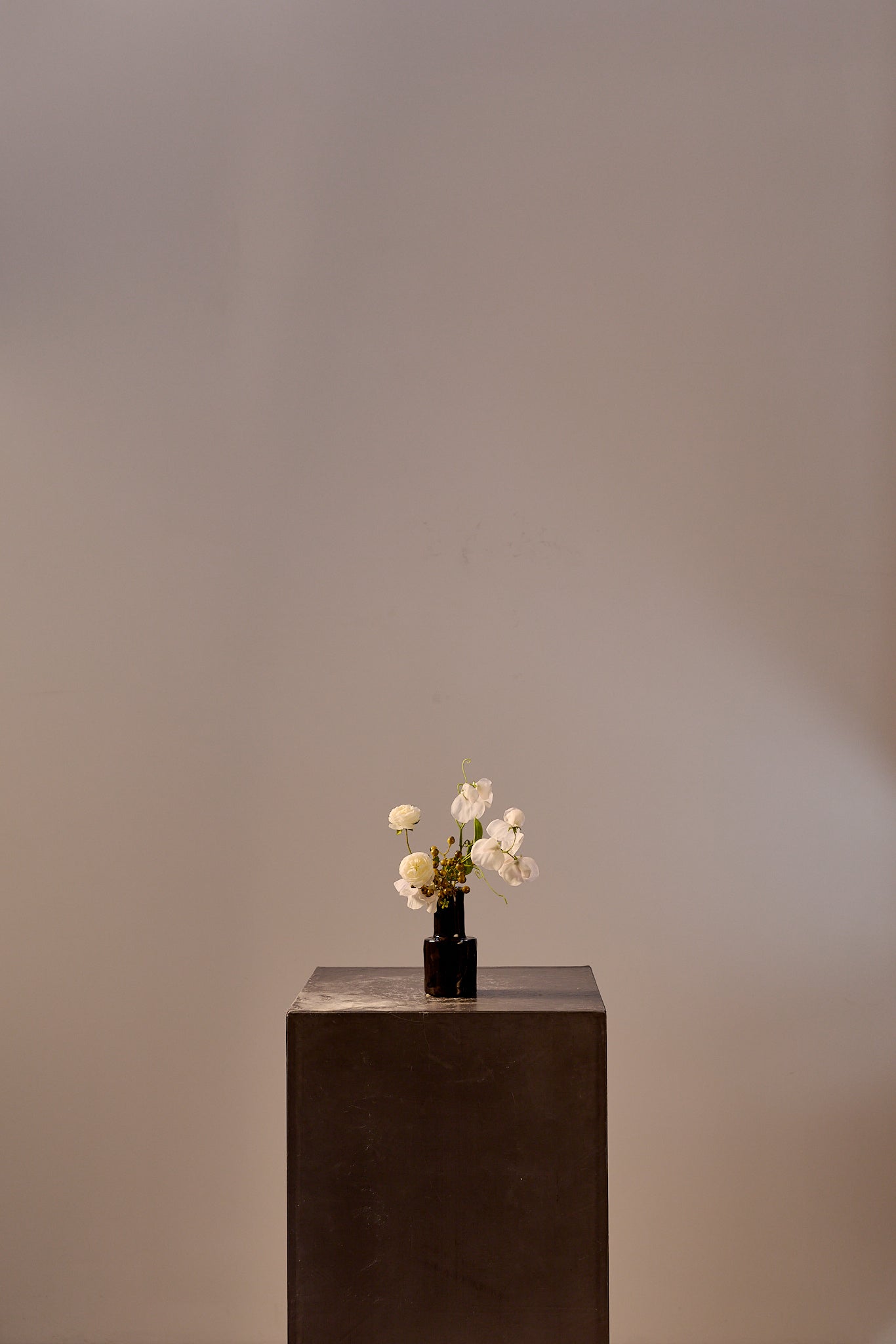 Quiet Corner