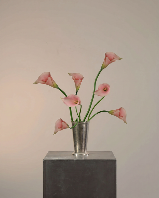 Studio Corner