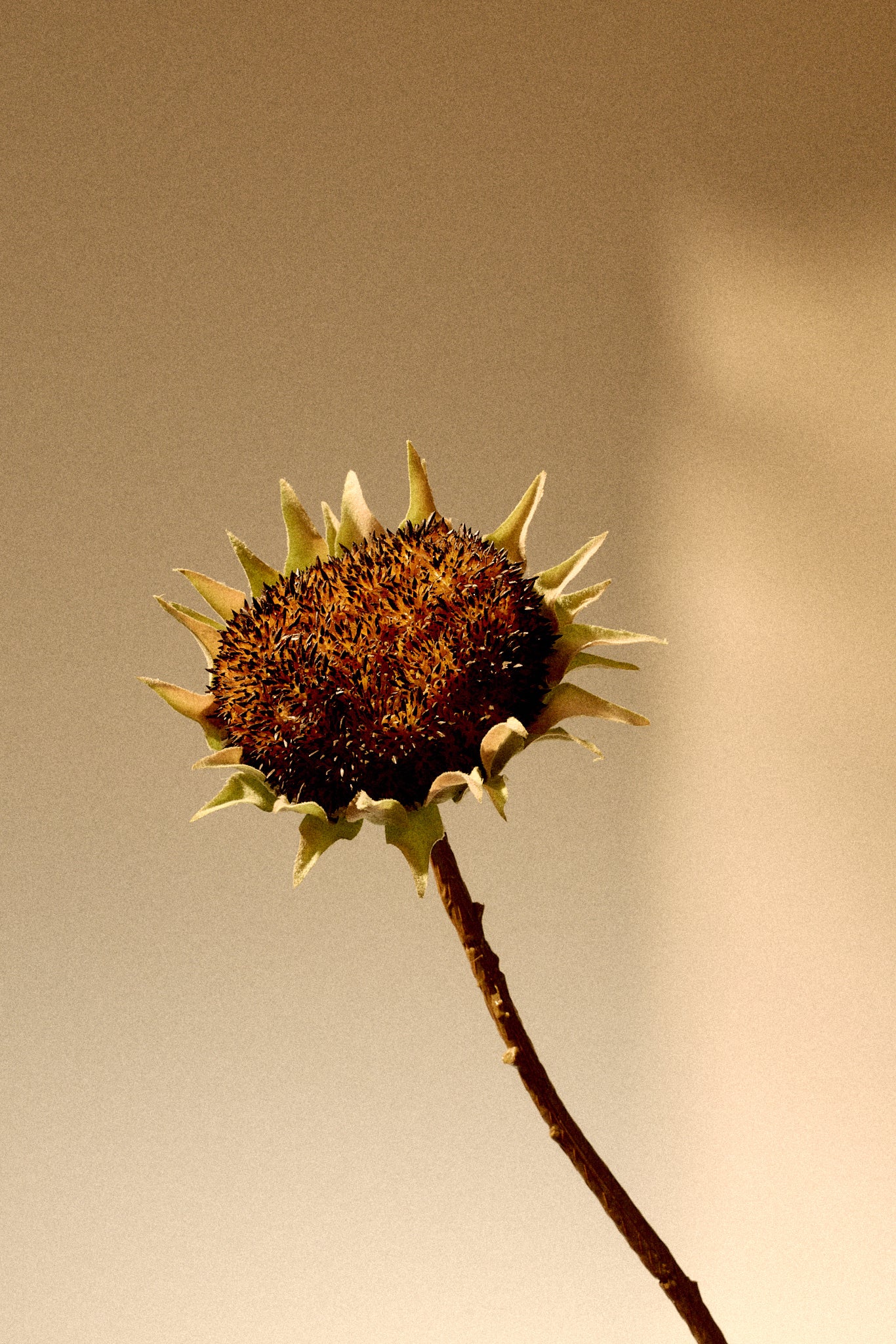 Early Autumn