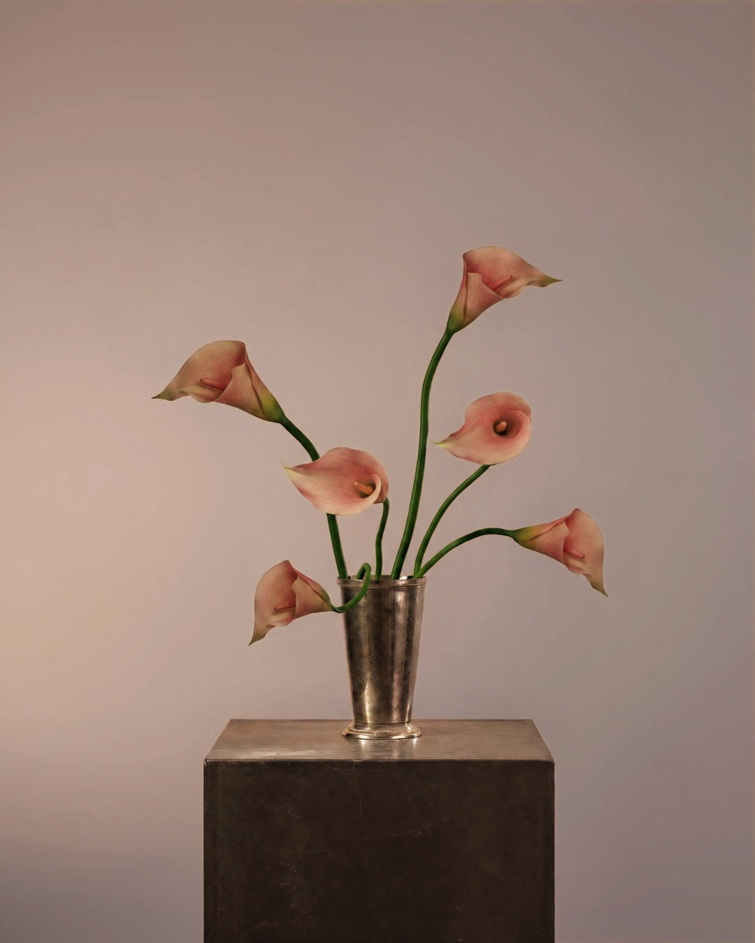 (Pre-order) Studio Corner